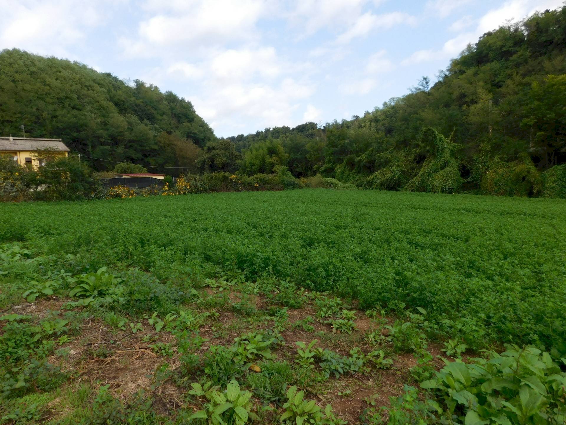 Foto 2 - Terreno agricolo Via S. Barnaba
snc, Valmontone - foto 2