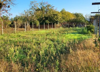 Foto 10 - Casa indipendente Via Colle Pereto
 
5, Valmontone - foto 10