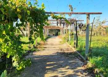 Foto 11 - Casa indipendente Via Colle Pereto
 
5, Valmontone - foto 11