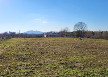 Foto 5 - Agricultural land Via Colle S. Upica
 
snc, Valmontone - photo 5