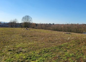 Foto 8 - Agricultural land Via Colle S. Upica
 
snc, Valmontone - photo 8