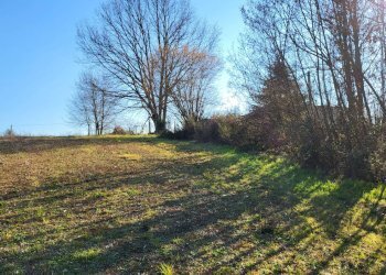 Foto 11 - Agricultural land Via Colle S. Upica
 
snc, Valmontone - photo 11