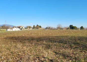 Foto 13 - Agricultural land Via Colle S. Upica
 
snc, Valmontone - photo 13