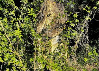 Foto 35 - Villa Via Paliaga, Venezia - foto 35