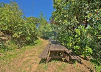 Foto 23 - Casa semi indipendente Via Santa Maria Del Campo
 
8b, Camogli - foto 23