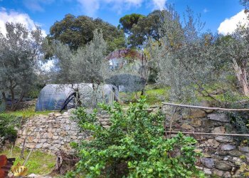 Foto 35 - Appartamento Genova - foto 35