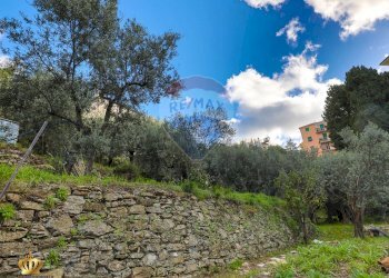 Foto 39 - Appartamento Genova - foto 39