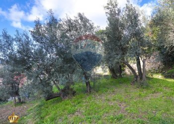 Foto 42 - Appartamento Genova - foto 42