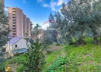 Foto 43 - Appartamento Genova - foto 43