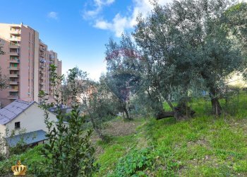 Foto 44 - Appartamento Genova - foto 44