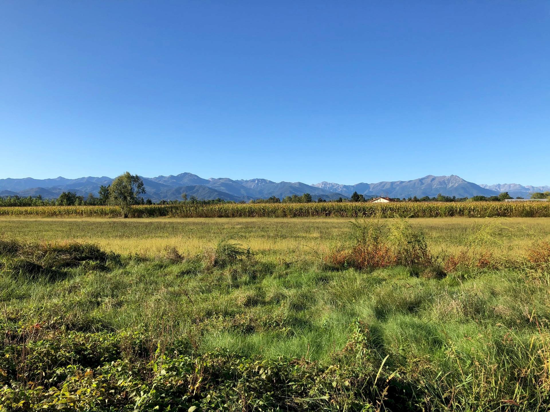 Foto 1 - Rustic STRADA DI RIFREDDO, Mondovì - photo 1