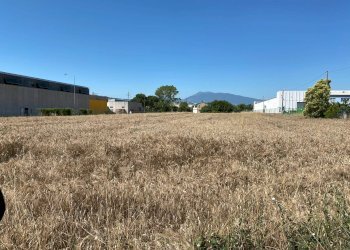 Foto 2 - Terreno edificabile Monsampolo del Tronto - foto 1