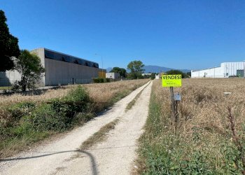 Foto 6 - Terreno edificabile Monsampolo del Tronto - foto 3