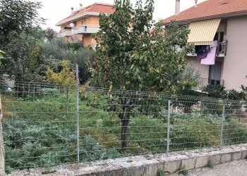 Foto 2 - Terreno agricolo Via Montenero, San Benedetto del Tronto - foto 2