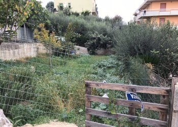 Foto 3 - Terreno agricolo Via Montenero, San Benedetto del Tronto - foto 3