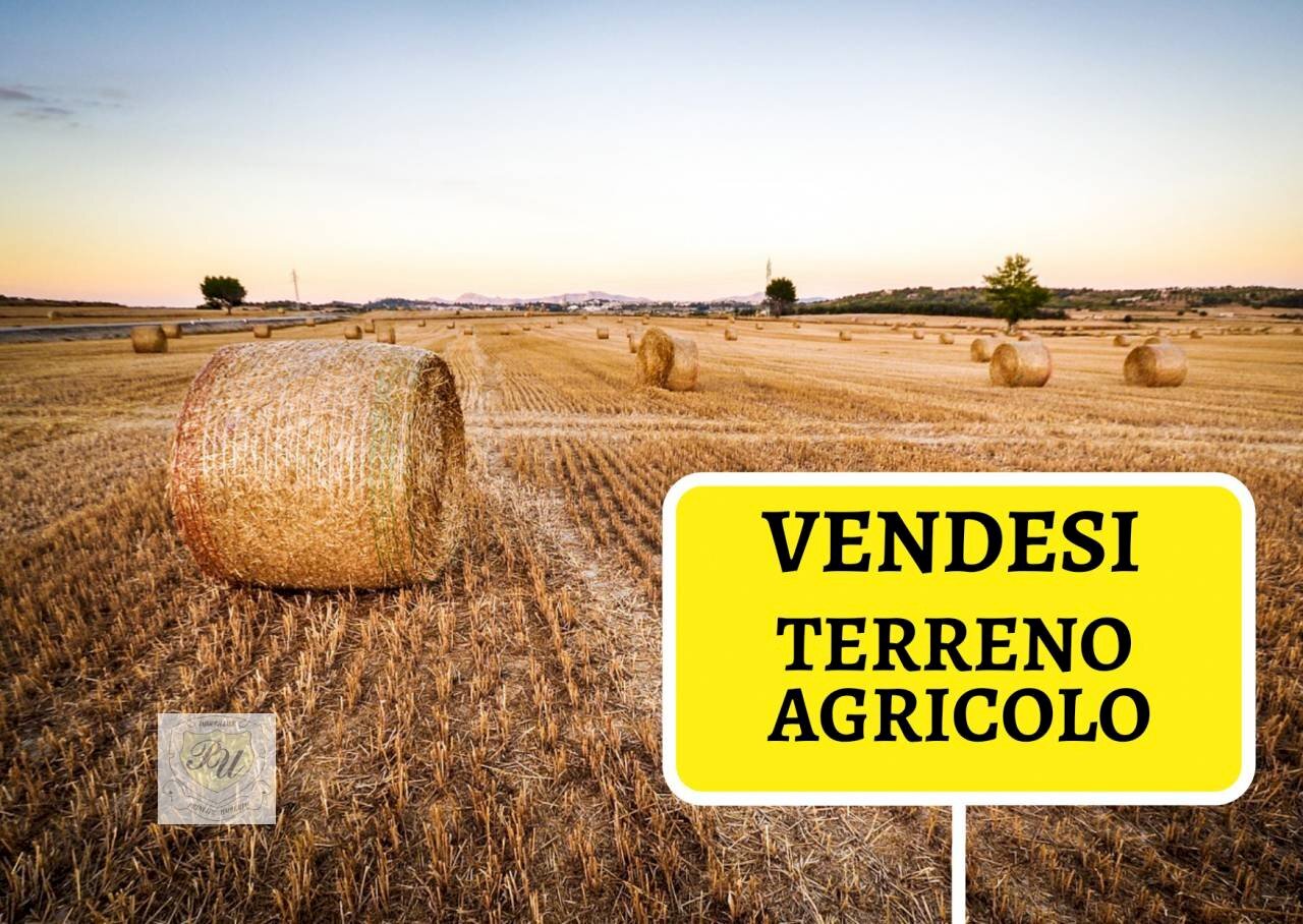 Foto 1 - Terreno agricolo Torreano - foto 1