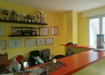 Foto 3 - Locale Commerciale VIALE ANTONELLI
6, Montesilvano - foto 2