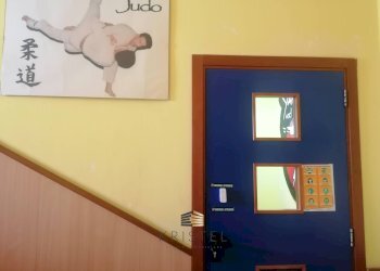 Foto 20 - Locale Commerciale VIALE ANTONELLI
6, Montesilvano - foto 19