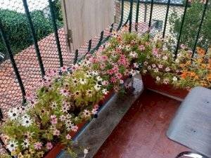 Foto 2 - Quadrilocale callisto Cosulich, Monfalcone - foto 2