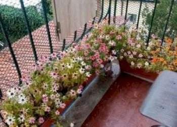 Foto 2 - Quadrilocale callisto Cosulich, Monfalcone - foto 2