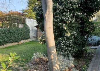 Foto 25 - Appartamento ROMANA
 
14, Monfalcone - foto 25