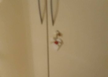 Foto 26 - Trilocale Monfalcone - foto 26