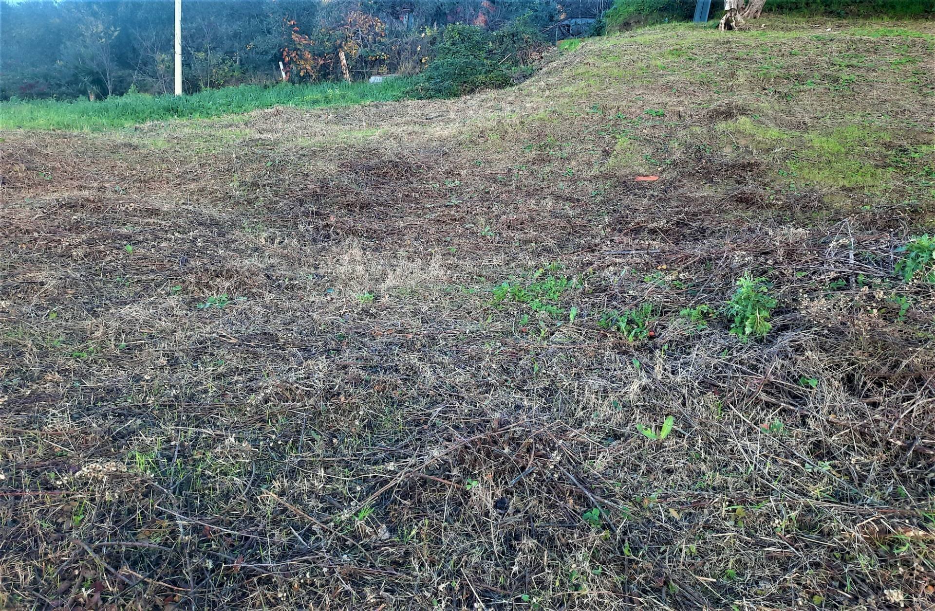 Foto 2 - Terreno edificabile via roma, Lajatico - foto 2