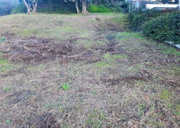 Foto 1 - Terreno edificabile via roma, Lajatico - foto 1