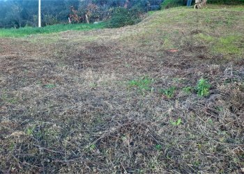 Foto 2 - Terreno edificabile via roma, Lajatico - foto 2