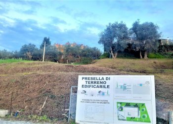 Foto 3 - Terreno edificabile via roma, Lajatico - foto 3