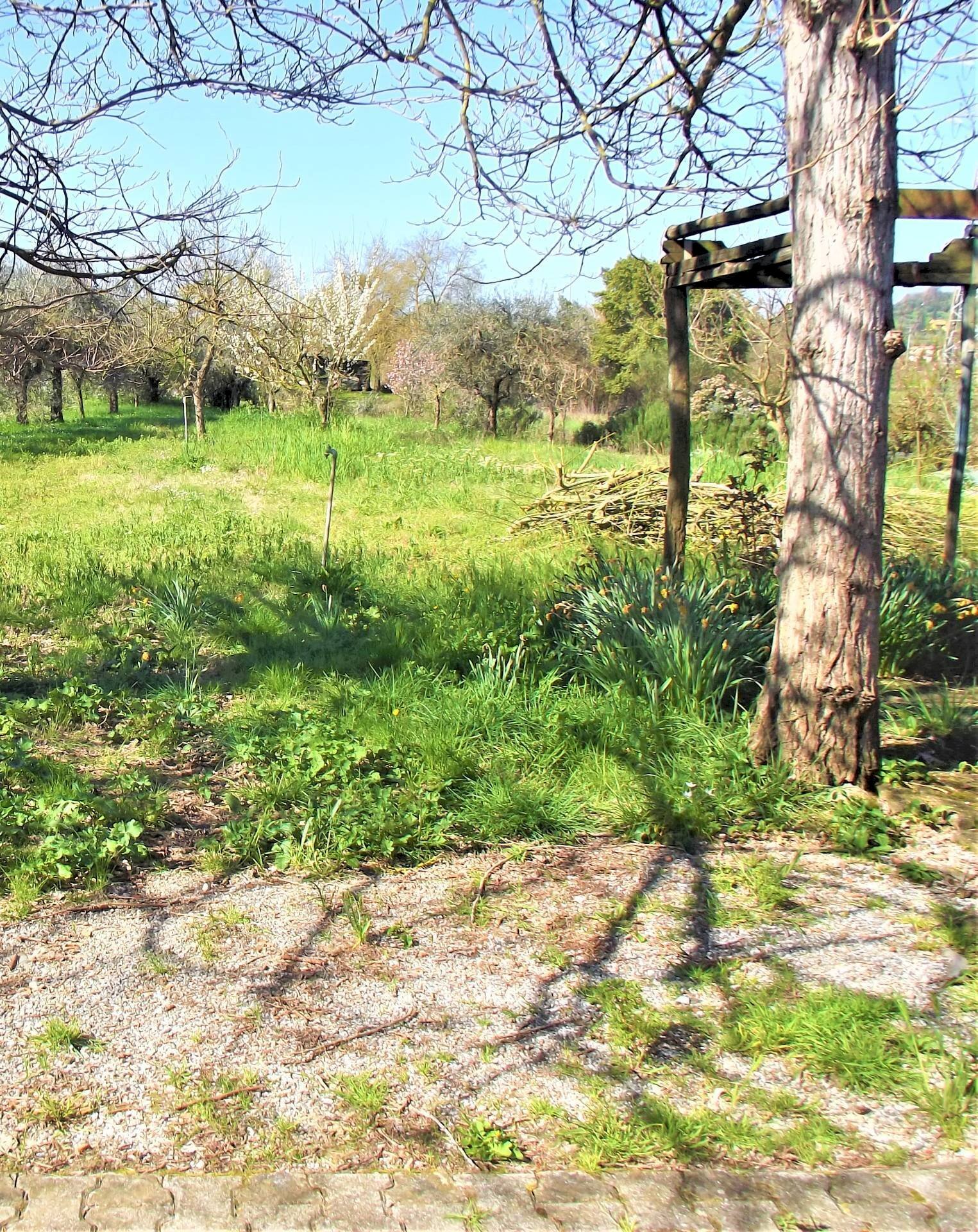 Foto 2 - Terreno agricolo francesca sud, Santa Maria a Monte - foto 2