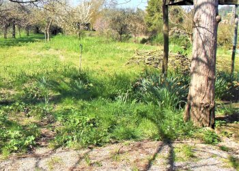 Foto 2 - Terreno agricolo francesca sud, Santa Maria a Monte - foto 2