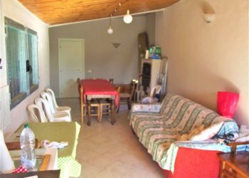 Foto 3 - Terreno agricolo francesca sud, Santa Maria a Monte - foto 3