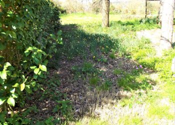 Foto 4 - Terreno agricolo francesca sud, Santa Maria a Monte - foto 4