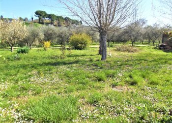 Foto 5 - Terreno agricolo francesca sud, Santa Maria a Monte - foto 5