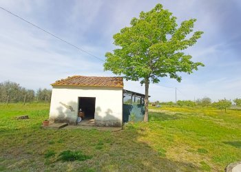 Foto 24 - Rustico via maremmana, Casciana Terme Lari - foto 24