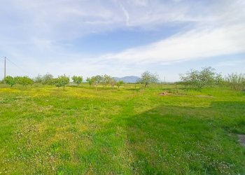 Foto 33 - Rustico via maremmana, Casciana Terme Lari - foto 33