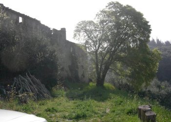 Foto 9 - Rustico San Giuliano Terme - foto 9