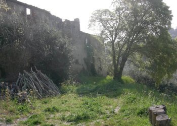 Foto 10 - Rustico San Giuliano Terme - foto 10