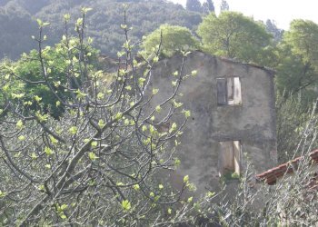 Foto 12 - Rustico San Giuliano Terme - foto 12