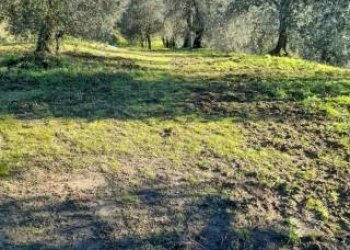 Foto 7 - Appartamento fontanelle, Montopoli in Val d'Arno - foto 7