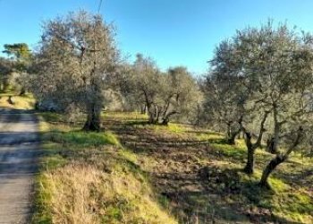 Foto 8 - Appartamento fontanelle, Montopoli in Val d'Arno - foto 8