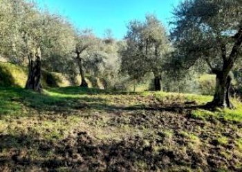 Foto 9 - Appartamento fontanelle, Montopoli in Val d'Arno - foto 9