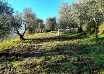 Foto 10 - Appartamento fontanelle, Montopoli in Val d'Arno - foto 10