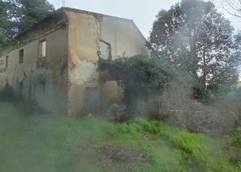 Foto 4 - Rustico via bugallo, Crespina Lorenzana - foto 4