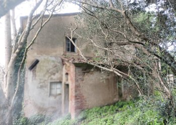 Foto 8 - Rustico via bugallo, Crespina Lorenzana - foto 8