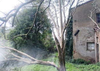 Foto 9 - Rustico via bugallo, Crespina Lorenzana - foto 9