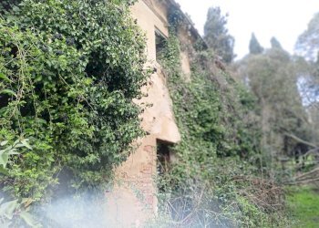 Foto 10 - Rustico via bugallo, Crespina Lorenzana - foto 10