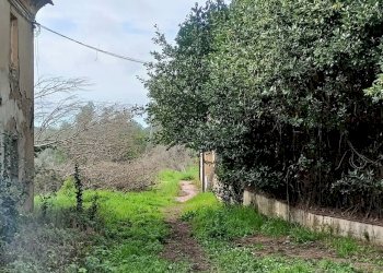 Foto 11 - Rustico via bugallo, Crespina Lorenzana - foto 11