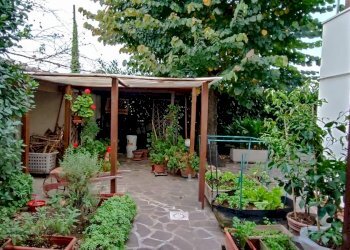 Foto 20 - Casa indipendente via cerratalli, Capannoli - foto 20